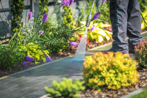 Reliable Pleasant Hill, CA Pressure Washing Solutions